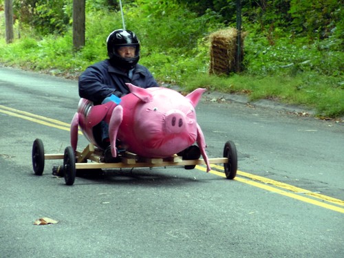 Racer pig
