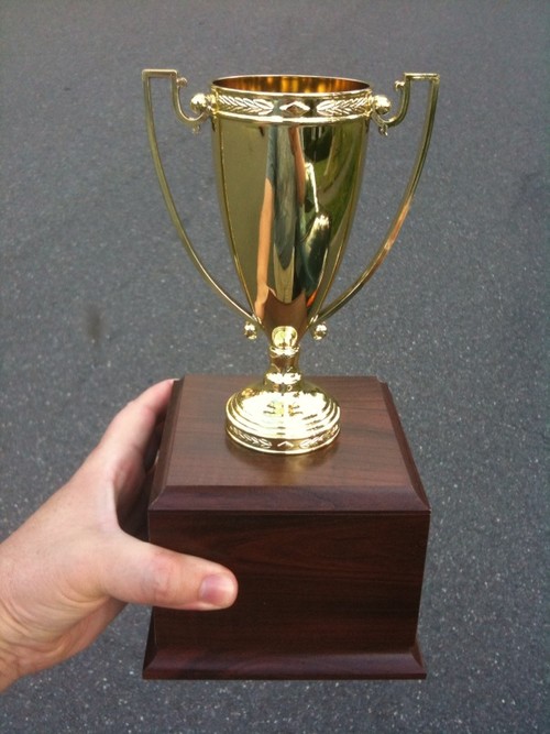 Trophy Cup award